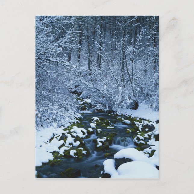 Postal EE. UU., Utah, Bosque Nacional Wasatch-Catch, (Anverso)