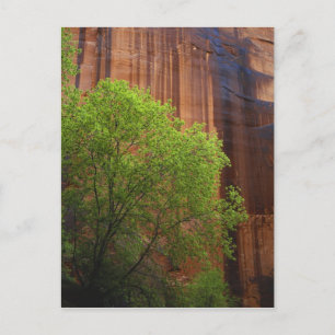 Postal EE.UU., Utah, Cañón Paria - Acantilados Vermillón