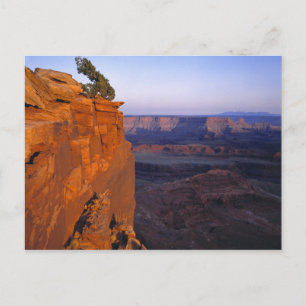 Postal EE. UU., Utah, Dead Horse Point SP. Luz tardía se 