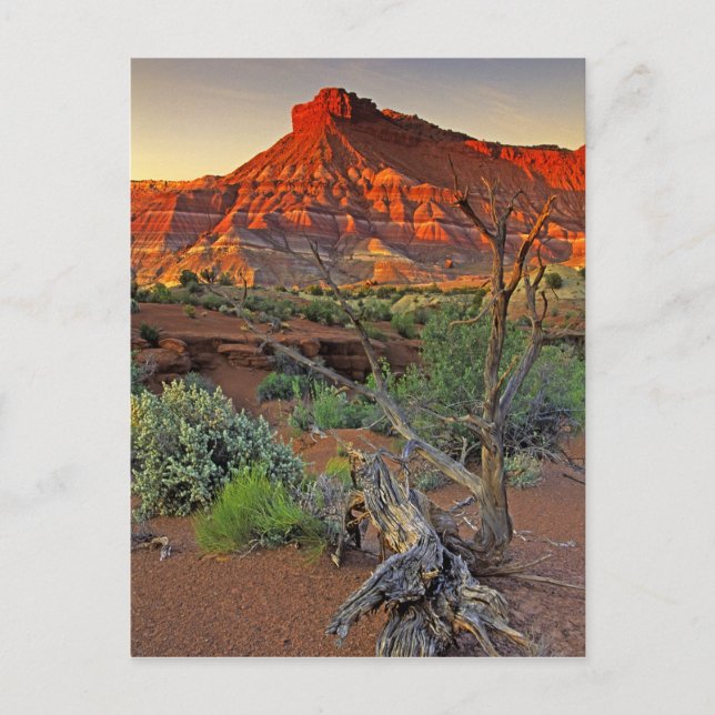 Postal EE. UU., Utah. Formación de arenisca de Paria Cany (Anverso)