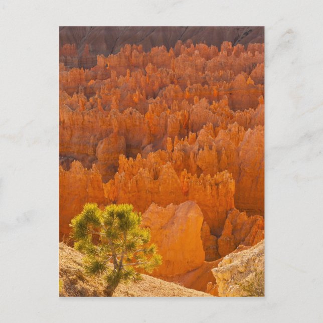 Postal EE. UU., Utah, Parque Nacional Bryce Canyon (Anverso)