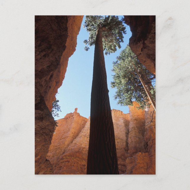 Postal EE. UU., Utah, Parque Nacional Bryce Canyon. Alto (Anverso)