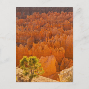 Postal EE.UU., Utah, Parque Nacional del Cañón de Bryce