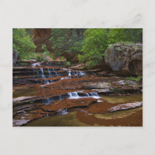 Postal EE.UU., Utah, Parque Nacional Zion. Escena de 4