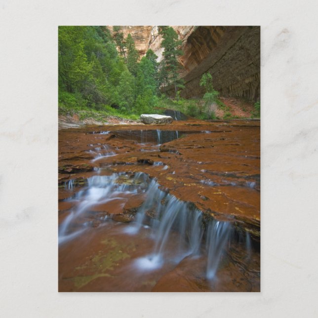 Postal EE. UU., Utah, Parque Nacional Zion. Escénico desd (Anverso)