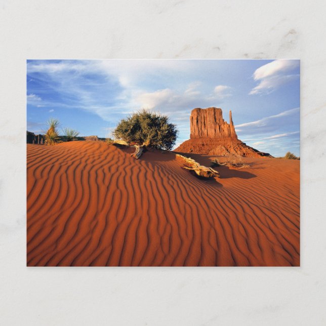 Postal EE. UU., Utah, Valle de los Monumentos. El viento  (Anverso)