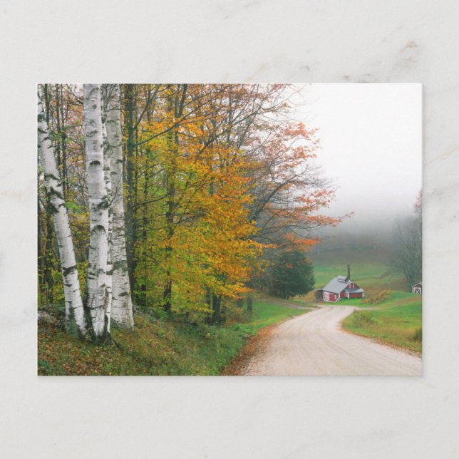 Postal EE. UU., Vermont. Casa de Azúcar Cerca de la Ciuda (Anverso)