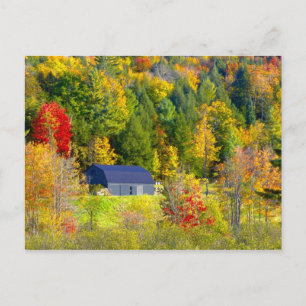Postal EE. UU., Vermont. Follaje de otoño a lo largo de l