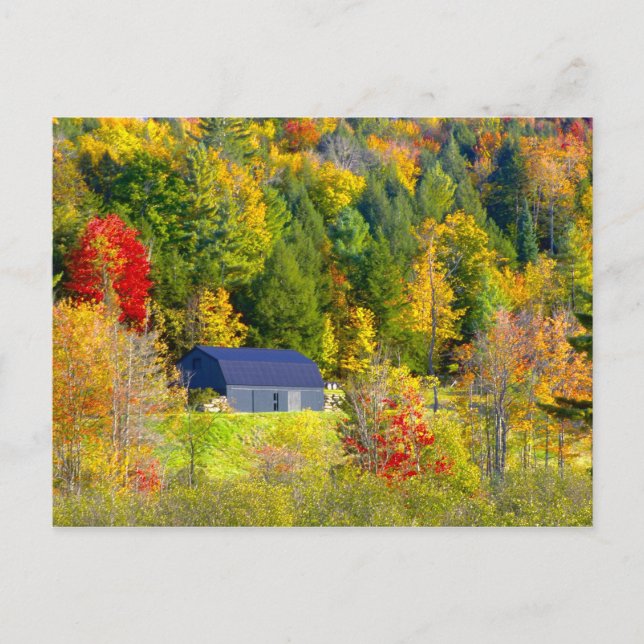 Postal EE. UU., Vermont. Follaje de otoño a lo largo de l (Anverso)