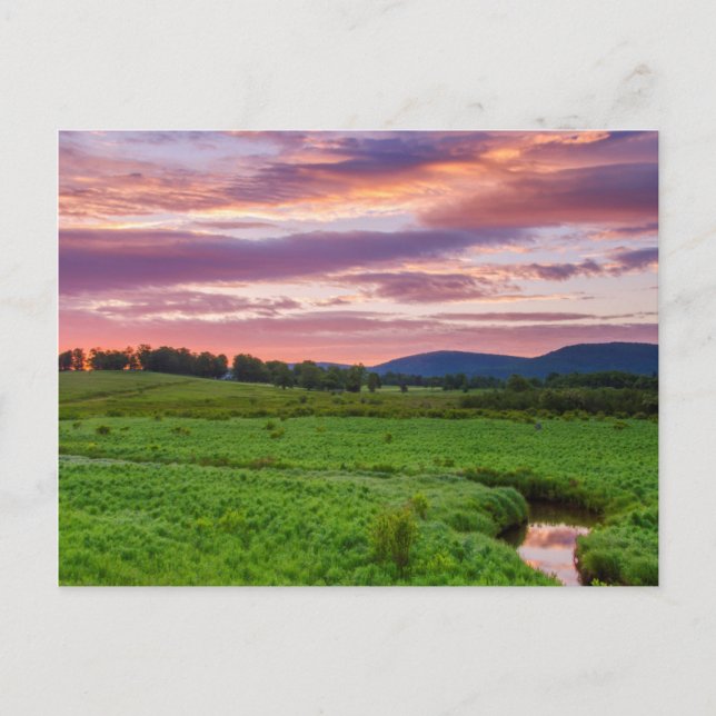 Postal EE.UU., Virginia Occidental, Davis. Paisaje (Anverso)