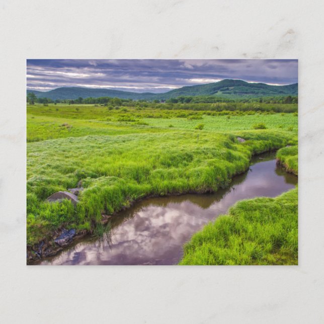 Postal EE. UU., Virginia Occidental, Davis. Paisaje 2 (Anverso)