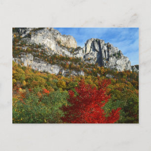 Postal EE.UU., Virginia Occidental, Spruce Knob-Seneca Ro
