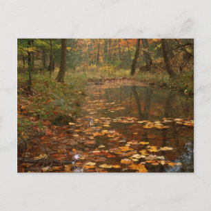 Postal EE. UU., Virginia, Otoño en Douthat State Park