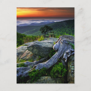 Postal EE. UU., Virginia, Parque Nacional Shenandoah.