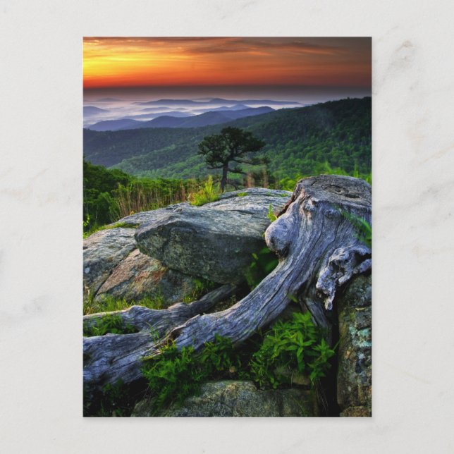 Postal EE. UU., Virginia, Parque Nacional Shenandoah. (Anverso)