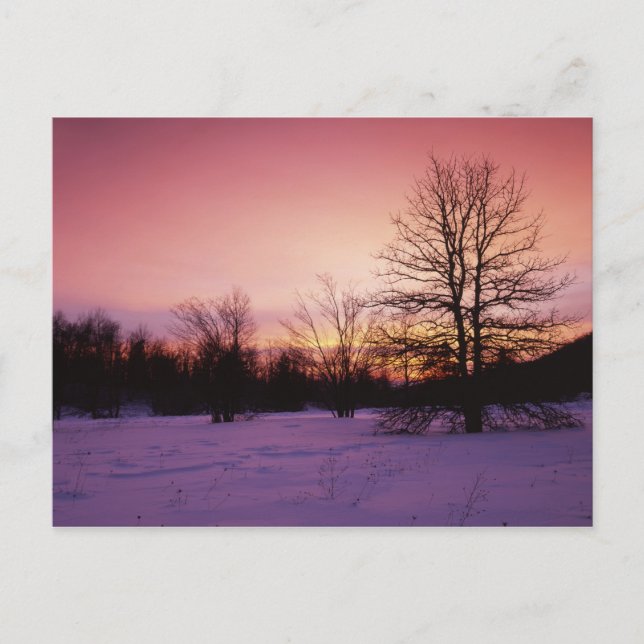 Postal EE.UU., Virginia, Parque Nacional Shenandoah, (Anverso)