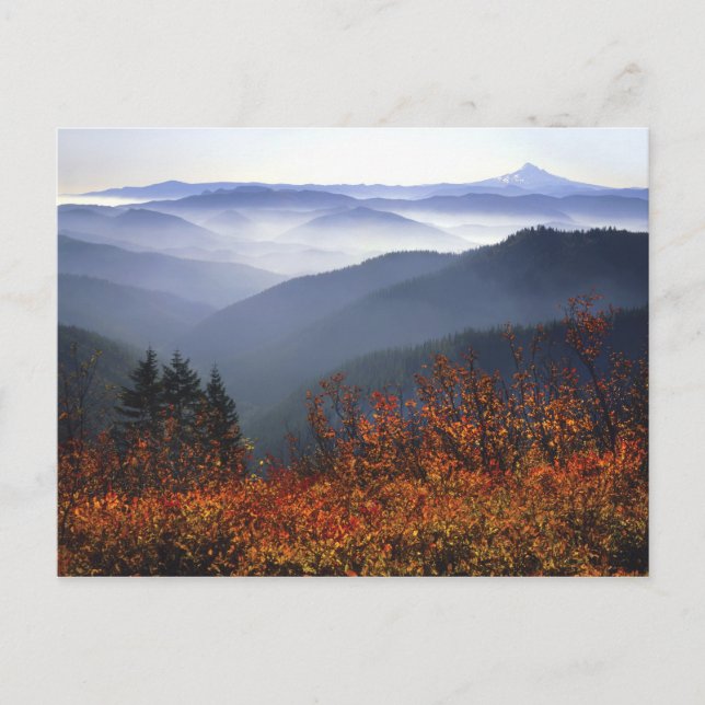 Postal EE. UU., Washington, Columbia River Gorge National (Anverso)