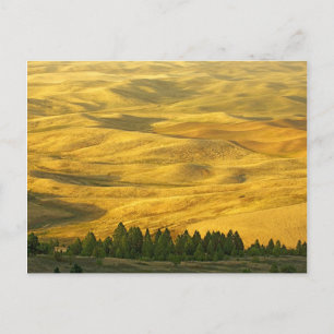 Postal EE.UU., Washington, Condado de Whitman, Palouse, T