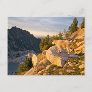 Postal EE. UU., Washington, Cordillera de las Cascadas 4