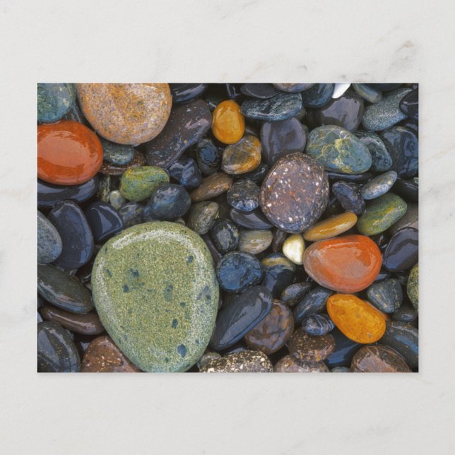 Postal EE. UU., Washington, Isla Lopez, Playa Agate (Anverso)