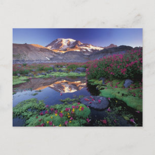 Postal EE. UU., Washington, Mt. Rainier NP, amanecer,
