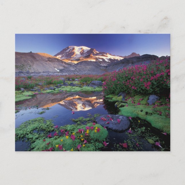 Postal EE. UU., Washington, Mt. Rainier NP, amanecer, (Anverso)