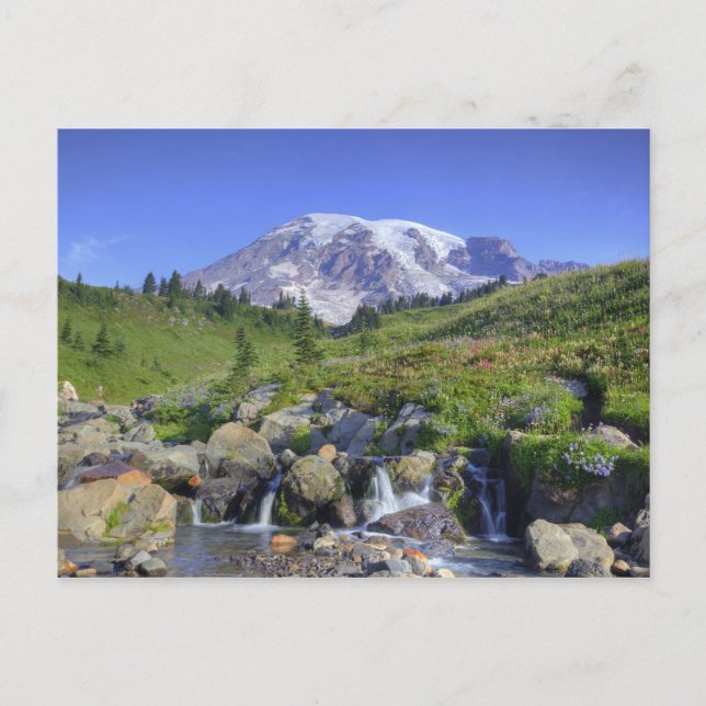 Postal EE. UU., Washington, Mt. Rainier NP, Mt. Rainier y (Anverso)