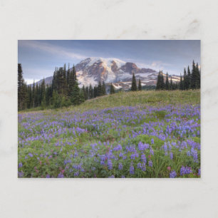Postal EE. UU., Washington, Mt. Rainier NP, Mt. Rainier y