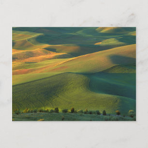 Postal EE. UU., Washington, Palouse, condado de Whitman