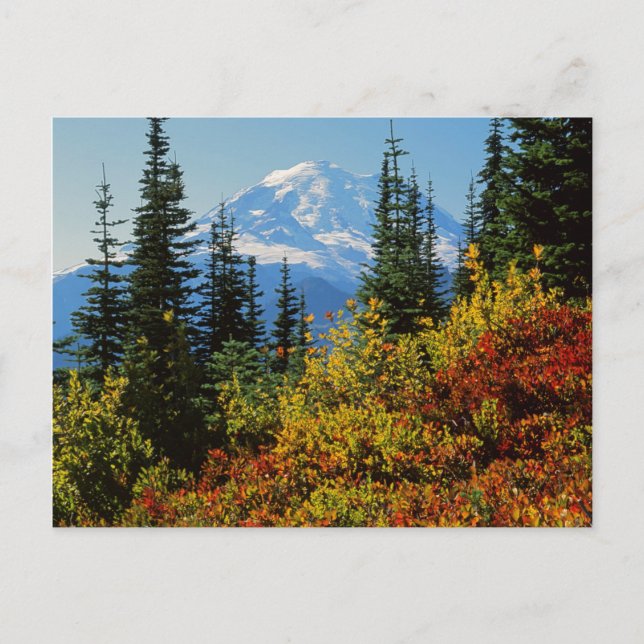Postal EE. UU., Washington, Parque Nacional Mt. Rainier 2 (Anverso)