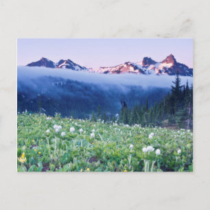 Postal EE. UU., Washington, Parque Nacional Mt. Rainier 4