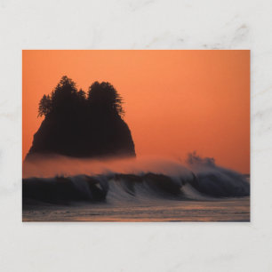 Postal EE. UU., Washington, Parque Nacional Olímpico, Mar