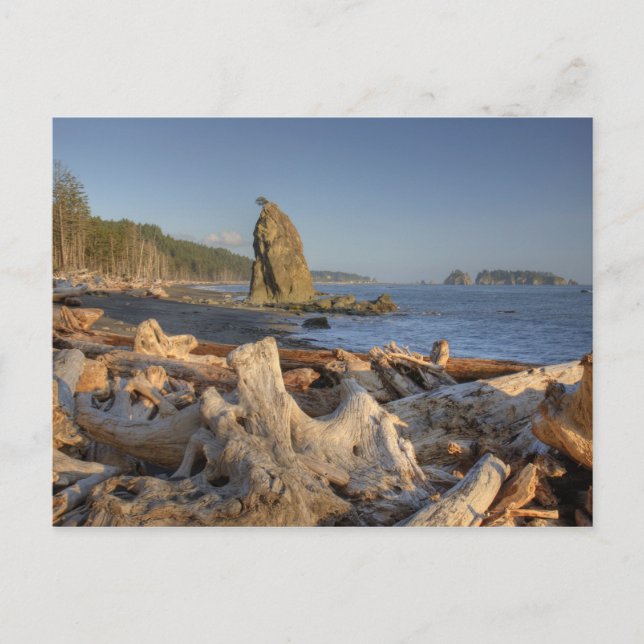 Postal EE. UU., Washington, Parque Nacional Olímpico, Ria (Anverso)