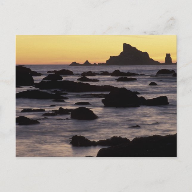 Postal EE. UU., Washington, Parque Nacional Olímpico, Sea (Anverso)