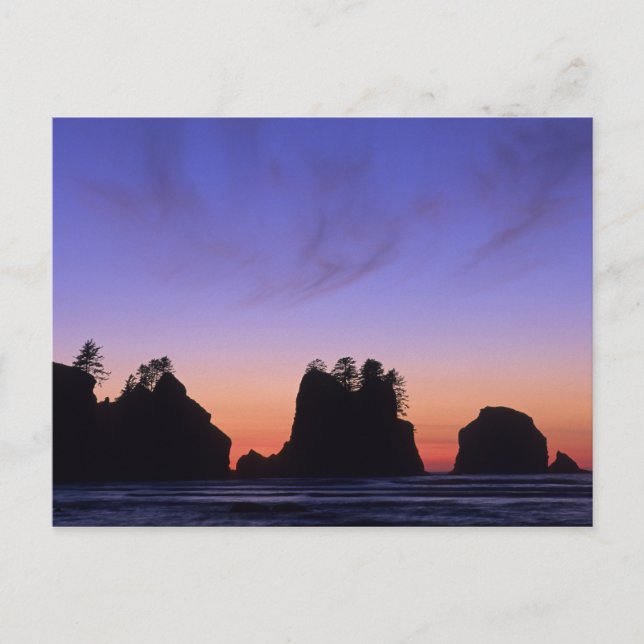 Postal EE. UU., Washington, Parque Nacional Olímpico, Shi (Anverso)