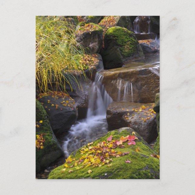 Postal EE.UU., Washington, Seattle (Anverso)