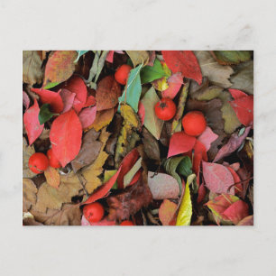 Postal EE.UU., Washington, Spokane Co., Hawthorn Leaves