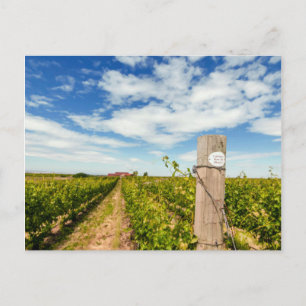 Postal EE. UU., Washington, Walla Walla. Cabernet Sauvign