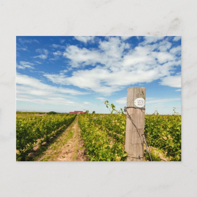 Postal EE. UU., Washington, Walla Walla. Cabernet Sauvign (Anverso)