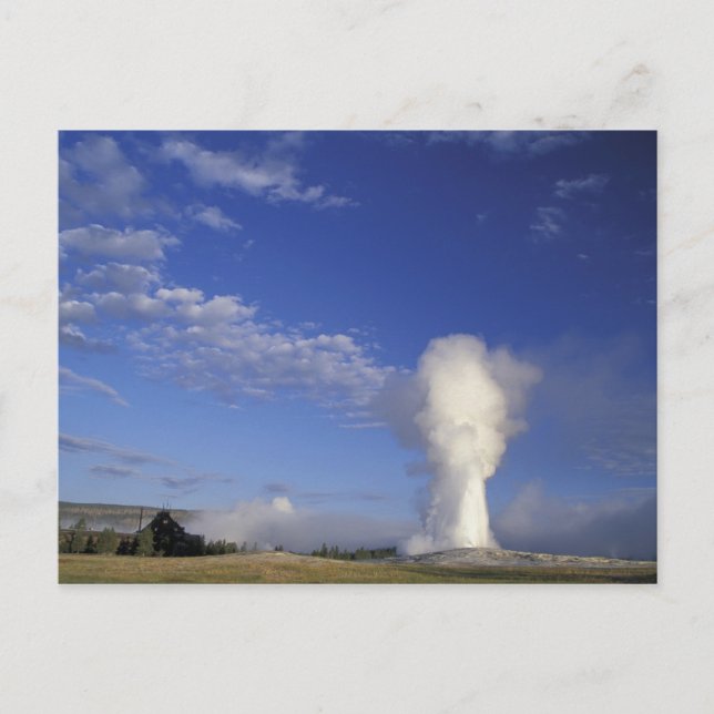 Postal EE. UU., Wyoming. Parque Nacional Yellowstone. Vie (Anverso)