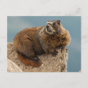 Postal EEUU, Colorado, Montañas San Juan 2