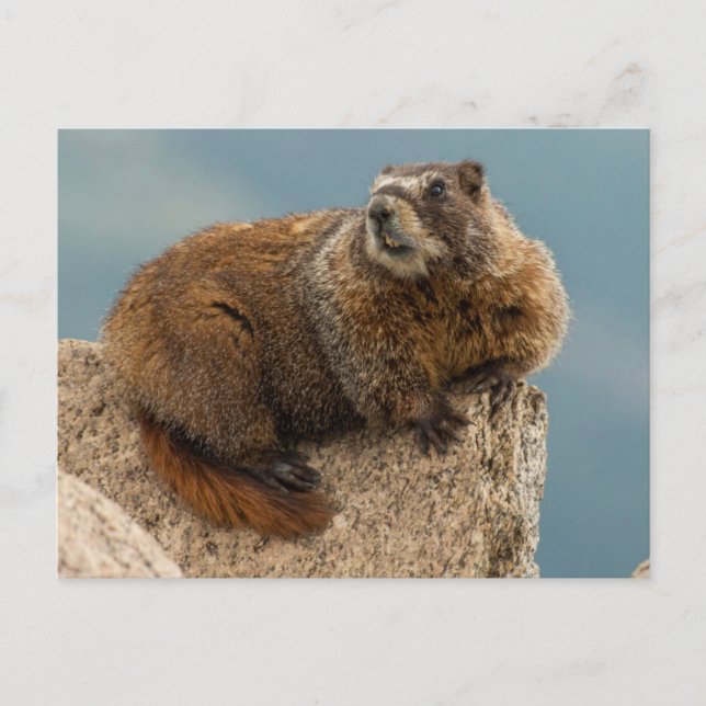 Postal EEUU, Colorado, Montañas San Juan 2 (Anverso)