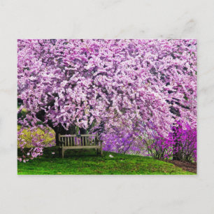 Postal EEUU, Delaware, Wilmington. Banco de madera bajo