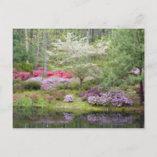 Postal EEUU, Georgia, Montaña Pina. Una mezcla de