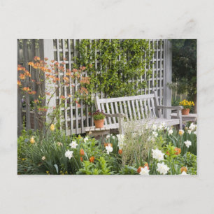 Postal EEUU, Georgia, Montaña Pine. Presidente en