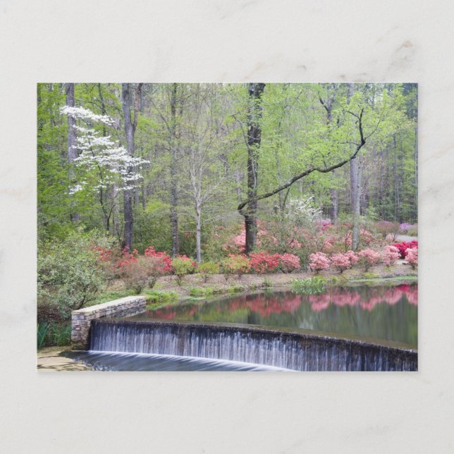 Postal EEUU, Georgia, Montaña Pine. Una pequeña cascada (Anverso)