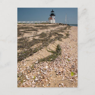 Postal EEUU, Massachusetts, Nantucket. Concha
