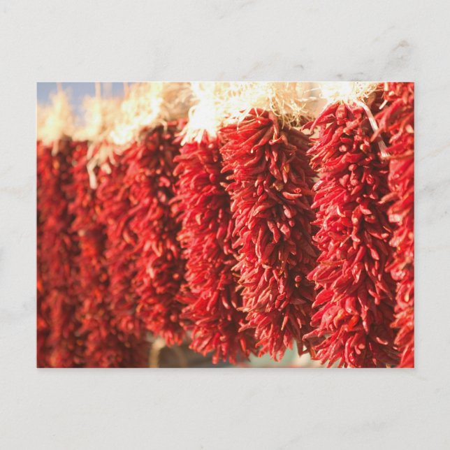 Postal EEUU, Nuevo México, Santa Fe: Centro Santa Fe, 3 (Anverso)