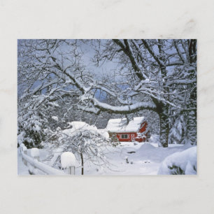 Postal EEUU, Oregón, Condado de Clackamas. Nieve fresca