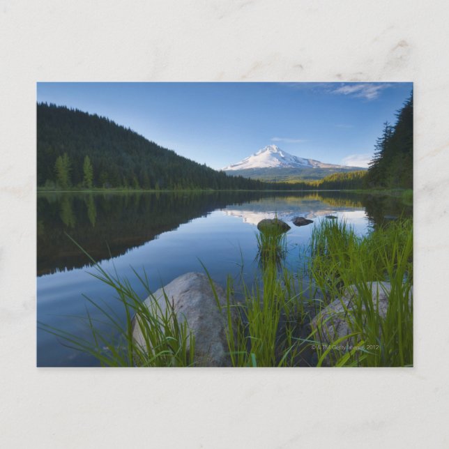 Postal EEUU, Oregón, Condado de Clackamas, Vista del Tril (Anverso)